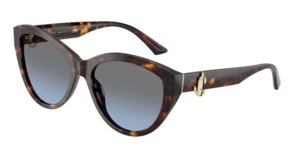 Jimmy Choo 0JC5007 50028F