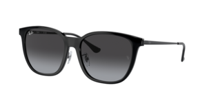 Ray-Ban 0RB4333D 601/8G