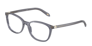 Tiffany & Co. 0TF2109HB 8405