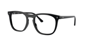 Ray-Ban 0RX2210V 2000