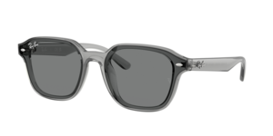 Ray-Ban 0RB4458D 645087