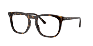 Ray-Ban 0RX2210V 2012