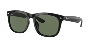Ray-Ban 0RB4260D 601/71