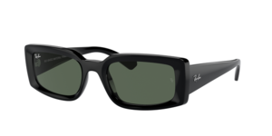 Ray-Ban 0RB4395 667771