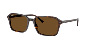 Ray-Ban 0RB2231 902/57