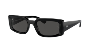 Ray-Ban 0RB4395 667787