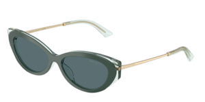 Jimmy Choo 0JC5065U 510487
