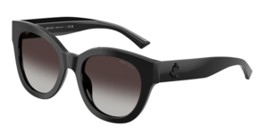 Jimmy Choo 0JC5053F 50008G