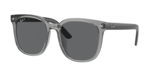 Ray-Ban 0RB4401D 659981