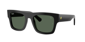 Ray-Ban 0RB2217M F60171