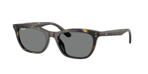 Ray-Ban 0RB4474D 710/87