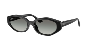Ray-Ban 0RB4473D 667711