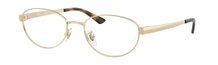 Ray-Ban 0RX3774VD 2993