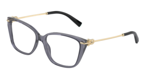 Tiffany & Co. 0TF2248K 8405