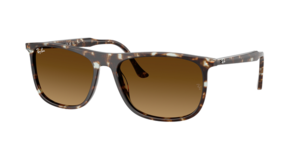 Ray-Ban 0RB2216 143185