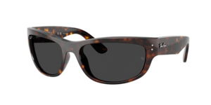 Ray-Ban 0RB2289 902/48