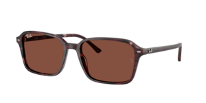 Ray-Ban 0RB2231 1416C5