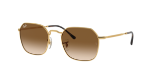 Ray-Ban 0RB3694 001/51