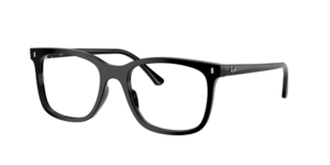 Ray-Ban 0RX5446 2000