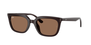 Ray-Ban 0RB4439D 623173
