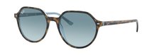 Ray-Ban 0RB2195 13163M