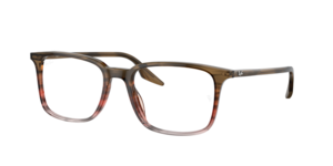 Ray-Ban 0RX5421 8251