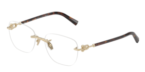 Tiffany & Co. 0TF1170D 6189
