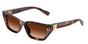 Dolce & Gabbana 0DG4532 322274