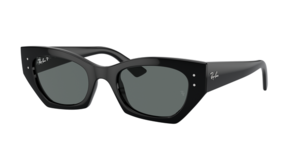 Ray-Ban 0RB4430 667781
