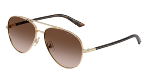 Jimmy Choo 0JC4026 300613
