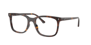 Ray-Ban 0RX5446 2012
