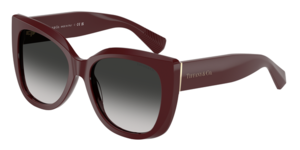 Tiffany & Co. 0TF4229 83893C