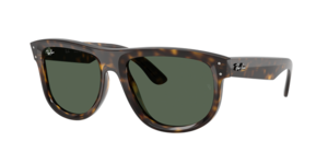 Ray-Ban 0RBR0501S 6790VR