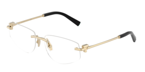 Tiffany & Co. 0TF1175 6021