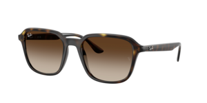 Ray-Ban 0RB4465I 710/13