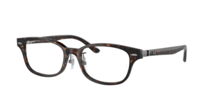Ray-Ban 0RX5427D 8287