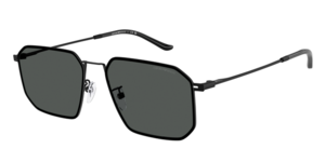 Emporio Armani 0EA2165D 300187