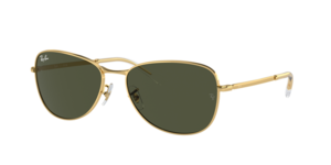 Ray-Ban 0RB3733 001/31