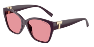 Tiffany & Co. 0TF4254U 84279L