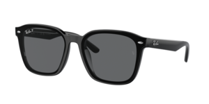 Ray-Ban 0RB4392D 601/81