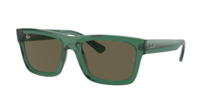 Ray-Ban 0RB4396 6681/3