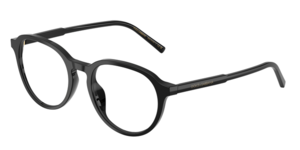 Dolce & Gabbana 0DG3444 501