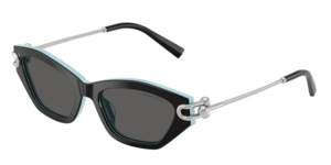 Tiffany & Co. 0TF4231U 8055S4