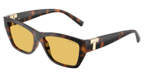 Tiffany & Co. 0TF4255U 845685