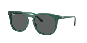 Ray-Ban 0RB2210 6615B1