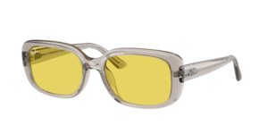 Ray-Ban 0RB4421D 681885