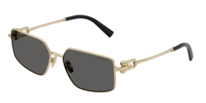 Tiffany & Co. 0TF3111 6021S4