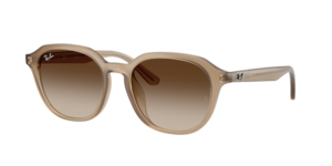 Ray-Ban 0RB4459D 616613