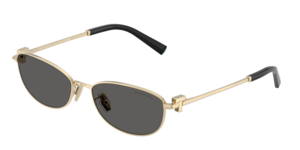 Tiffany & Co. 0TF3115 6021S4