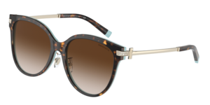 Tiffany & Co. 0TF4193BF 81343B
